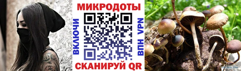 сайты даркнета клад  Морозовск  Псилоцибиновые грибы GOLDEN TEACHER 